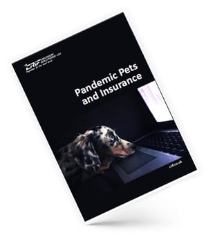 pandemic-pet-insurance-cover2